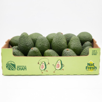 Fresh Avocado