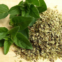 Dried Oregano