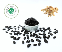 Sunflower Seeds Covered with 70% Cacao Chocolate
