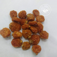 Goldenberry Dried 