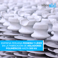 Design, Manufacture and Marketing of polymeric insulators and disconnectors.