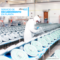 Coating Service in Plant and Substations