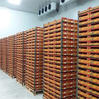 Large cold storage