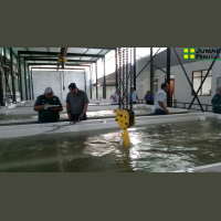 Hot Water Treatment (USA, Republic of Korea, Chile, Japan and China)