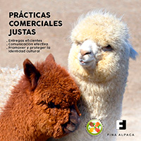 Fina Alpaca