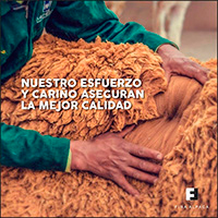 Fina Alpaca