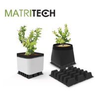 Matritech. Drainage trays