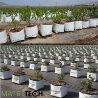 Matritech. Crop field installation