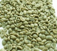 SPECIALITY COFFEE