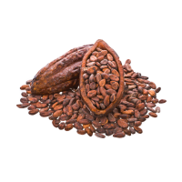 Cacao Beans of 15 Kg