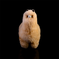 Alpaca
