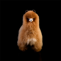 Alpaca