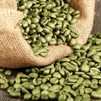 GREEN GOLD COFFEE