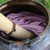 Wool dyed naturally with a plant native to America: the cochineal.