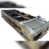 8 burnes,griddle,fryer for french fries