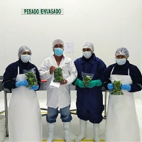 Workers with packed products 