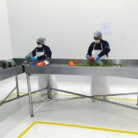Workers Packing 