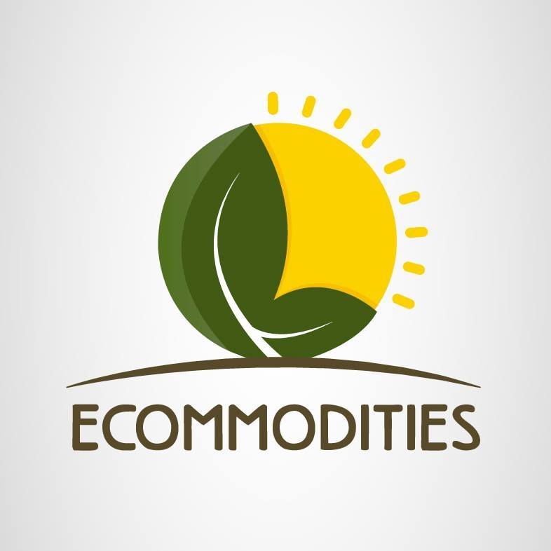 ECOMMODITIES SOCIEDAD ANONIMA CERRADA _ ECOMMODITIES S.A.C.