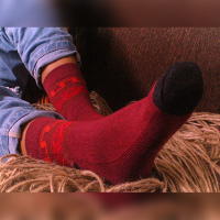 Alpaca Stockings