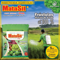 Matasil