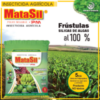 Matasil