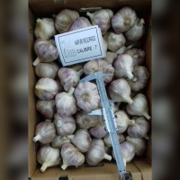 Napuri Garlic 10kg or 30 lb 