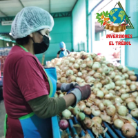 NEGOCIOS LDL & EL TREBOL E.I.R.L.