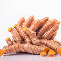 Fresh Organic Turmeric in Boxes of 13.6 KG.