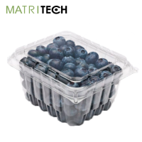 Matritech. Design and production agro packaging