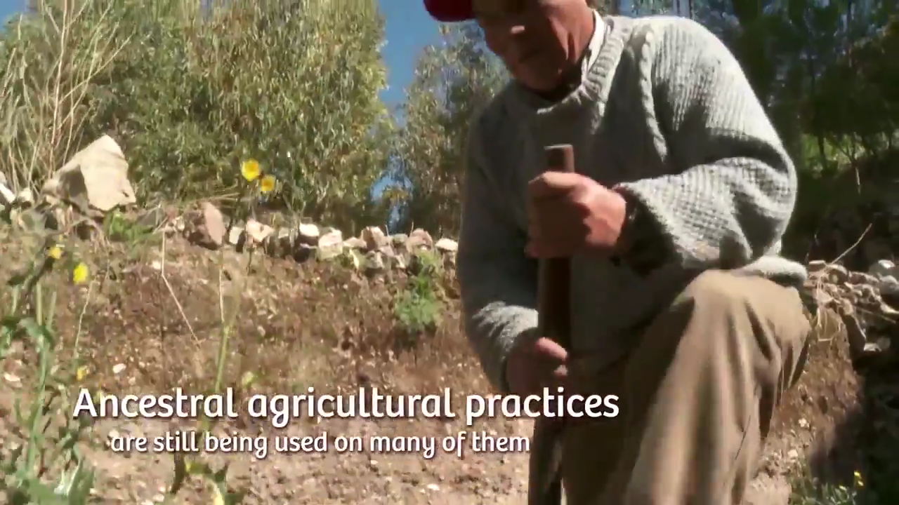 WORKING TOGETHER WITH PEASANT COMMUNITIES - EKO BUSINESS SAC Video sign
