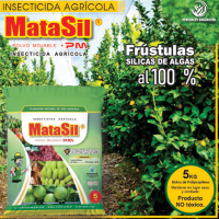 Matasil
