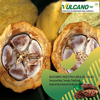 Cocoa machinery
