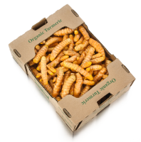 Organic Fresh Turmeric 17kg, 9kg and 2.5kg