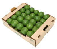 Organic Fresh Avocado