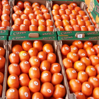 Fresh tangerine in 10 kg box