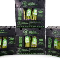 High Quality Fresh Green Asparagus (5 Kg Box)