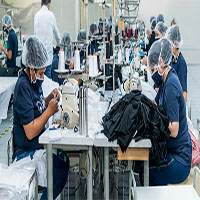 Cotton Project team