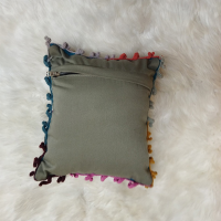 Cushion