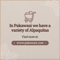 In Pakawasi We Have a Variety of Alpaquitas