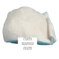 Frozen Raw Giant Squid Fillets