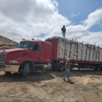 Shipment of Seaweed