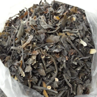Macrocystis integrifolia Dry per Kilo - Peruvian Seaweed
