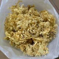 Chondrus Crispus Dried by Kilo - Algas Marinas Peruvian