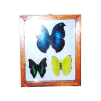 Real Three Butterfly Mix Frame