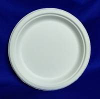 BIO N°23 WHITE PLATE