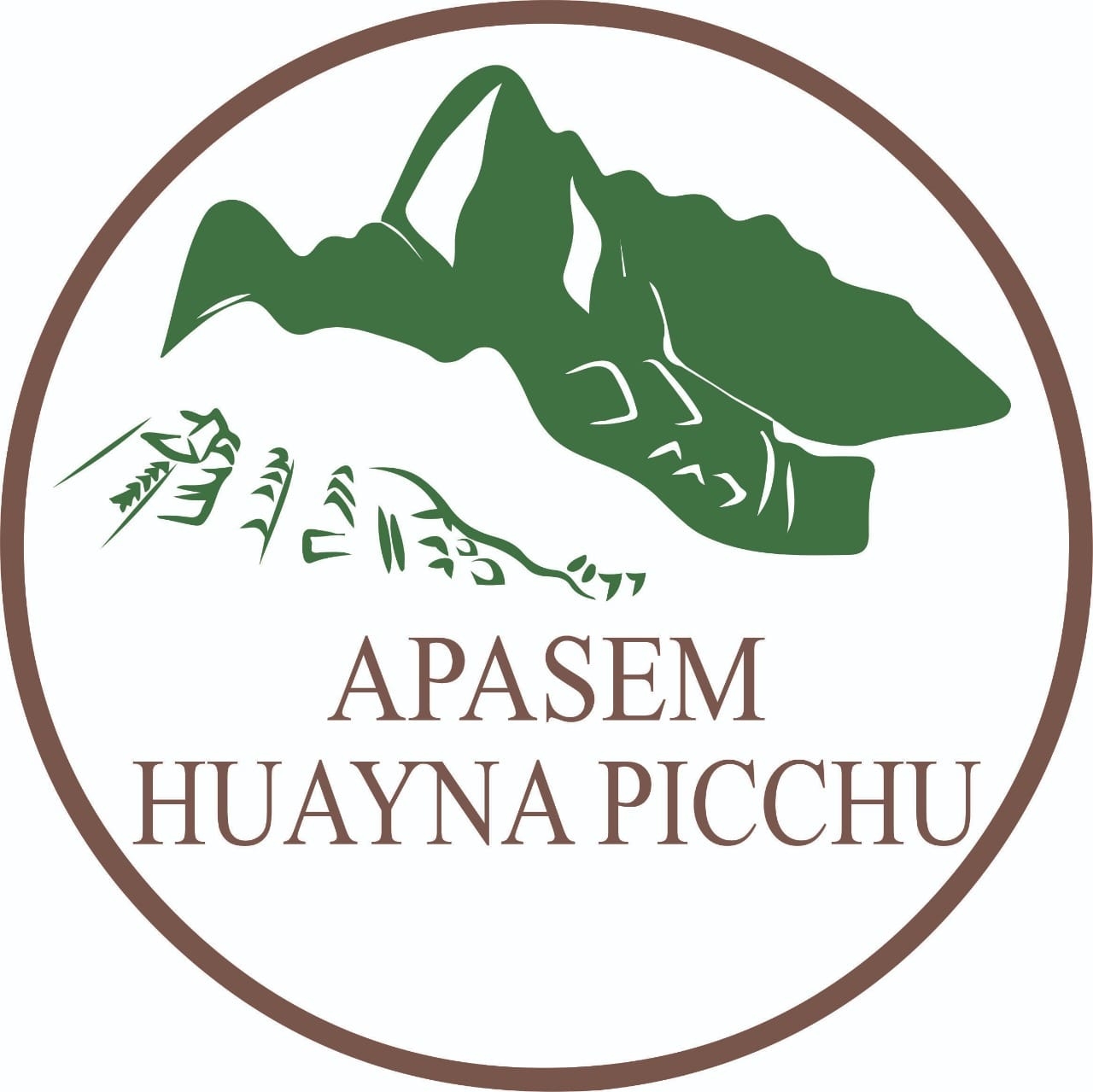 ASOCIACIÓN DE PRODUCTORES AGROINDUSTRIALES Y SERVICIOS MÚLTIPLES HUAYNA PICCHU VRAE