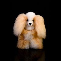 Alpaca Dog