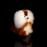 Alpaca Dog