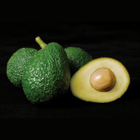 Avocados Hass