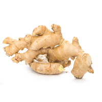 GINGER